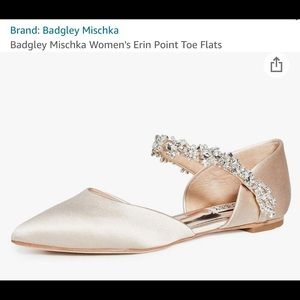 Badgley Mischka Women's Erin Point Toe Flats
